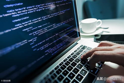 计算机技术与软件专业技术资格水平考试中的软件技术服务