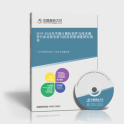 2019-2024年中国计算机软件与技术服务行业运营态势与投资前景调查研究